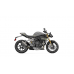 NEW SPEED TRIPLE 1200 RS