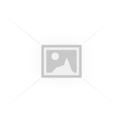 Thruxton RS 2020-